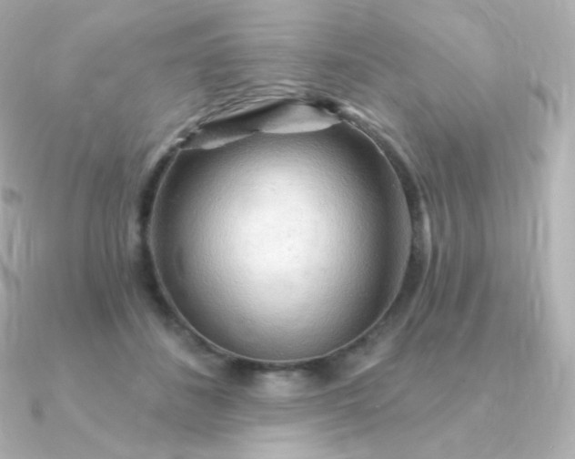 X0000090890508200708101405