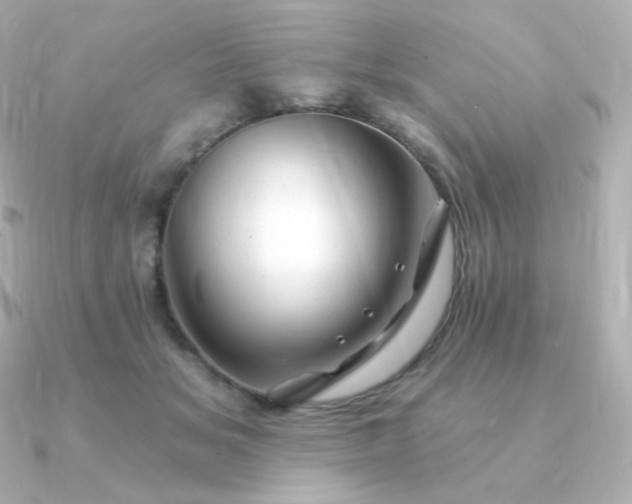 X0000090890509200708101405