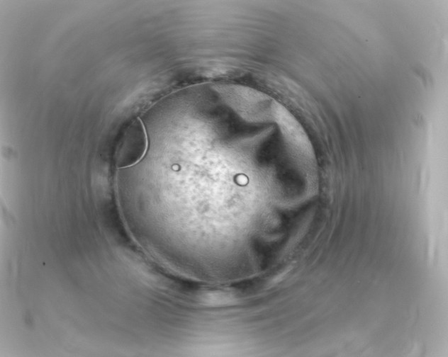 X0000090890510200708101405