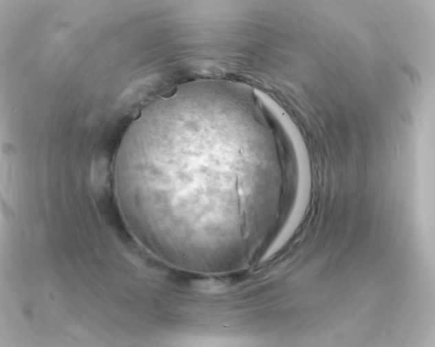 X0000090890511200708101405