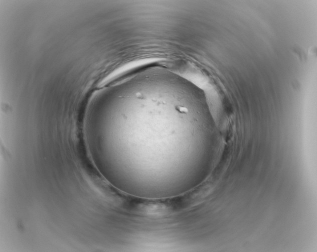 X0000090890512200708101405