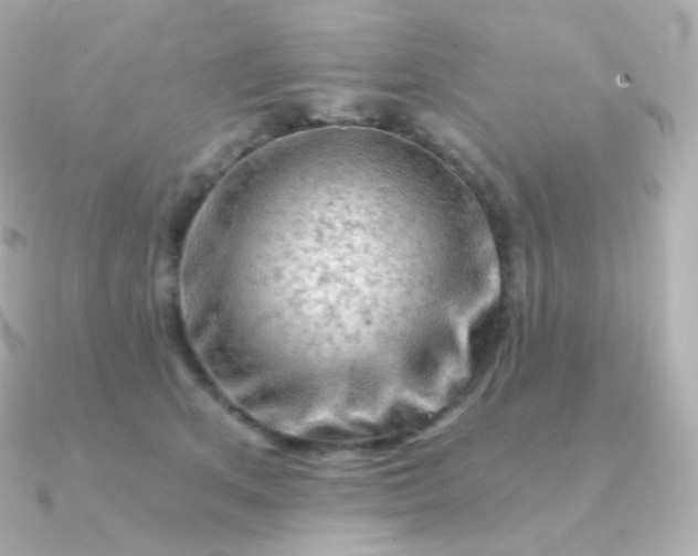 X0000090890513200708101405