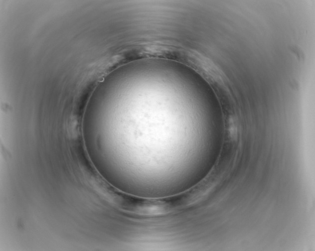 X0000090890514200708101405