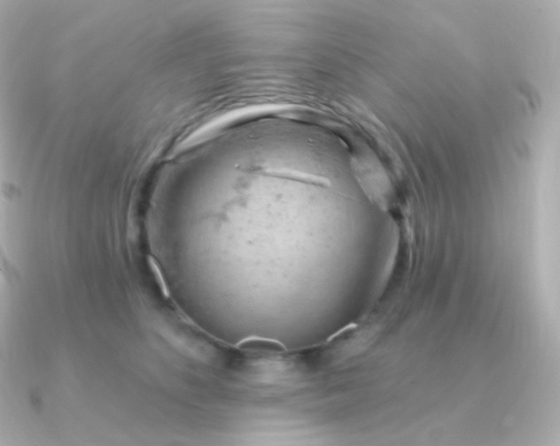 X0000090890516200708101405