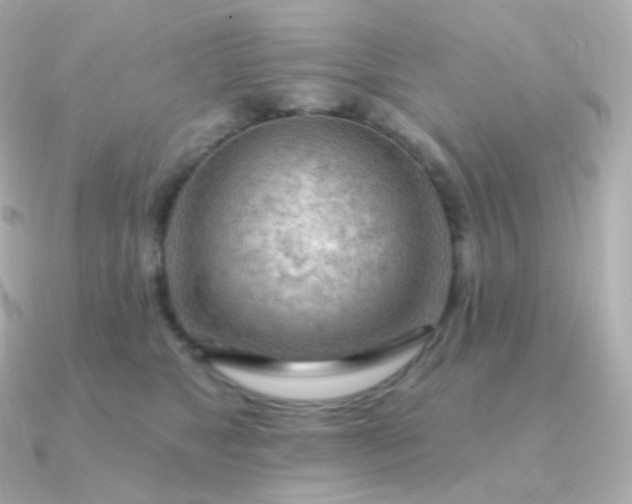 X0000090890517200708101405