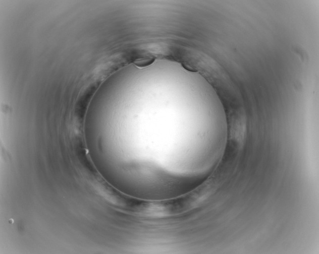 X0000090890518200708101404