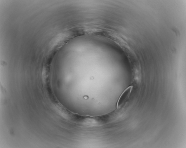 X0000090890519200708101404