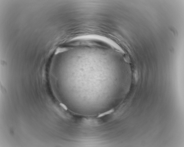 X0000090890520200708101404