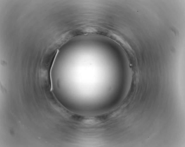 X0000090890521200708101404