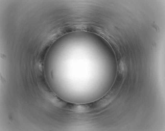 X0000090890522200708101404