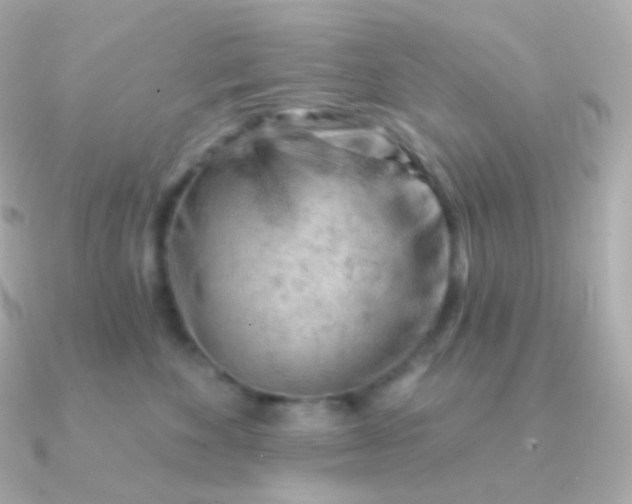 X0000090890524200708101404