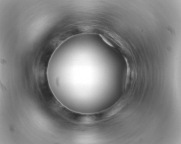 X0000090890525200708101404