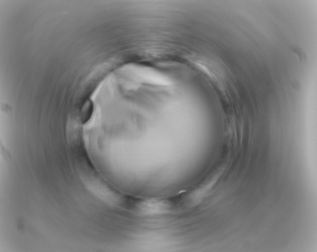 X0000090890526200708101404