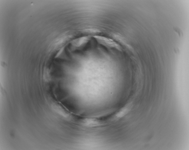 X0000090890528200708101404