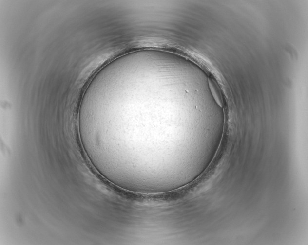 X0000090890529200708101404