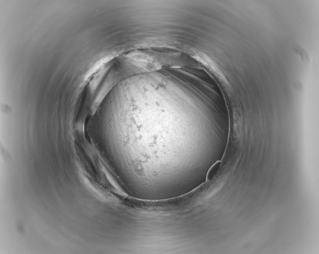 X0000090890530200708101404