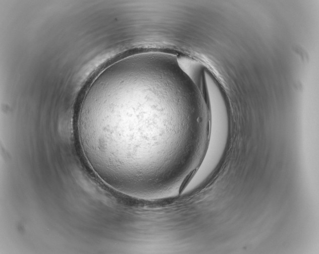 X0000090890531200708101404