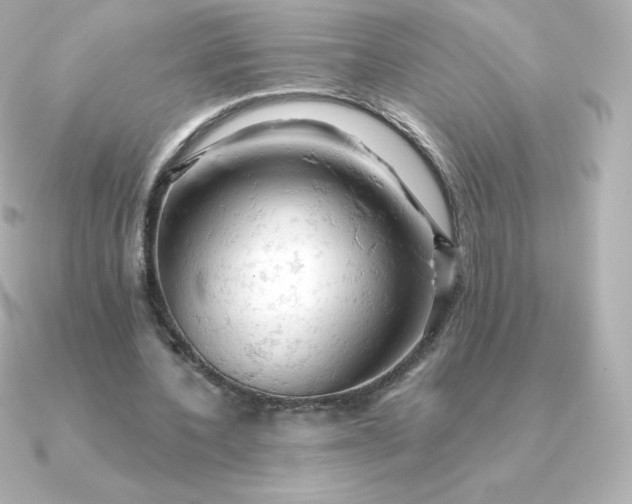 X0000090890532200708101404