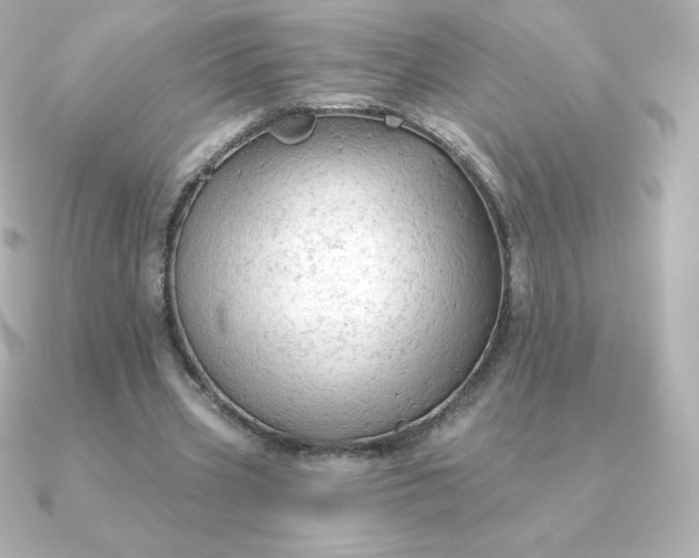 X0000090890533200708101404