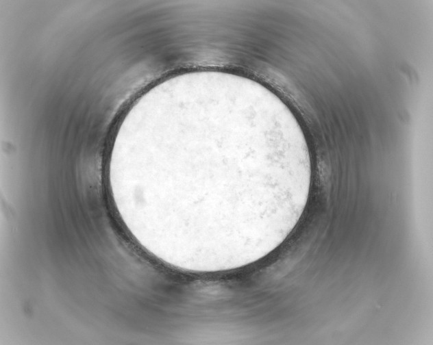 X0000090890534200708101404