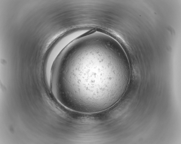 X0000090890535200708101404