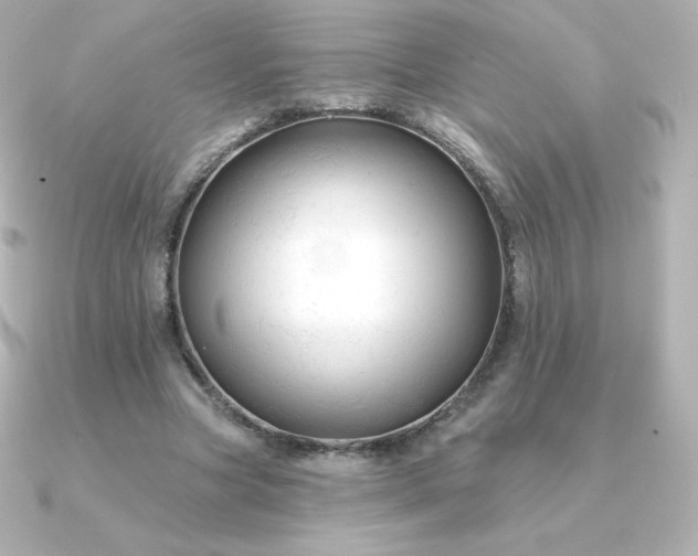 X0000090890537200708101404