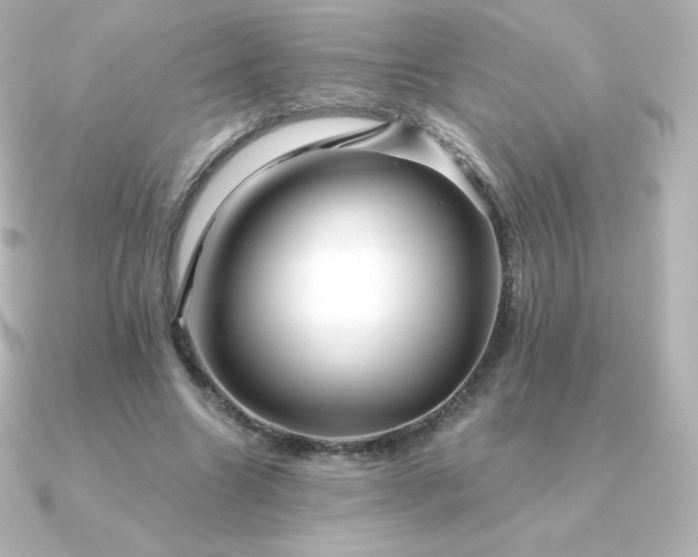 X0000090890538200708101404