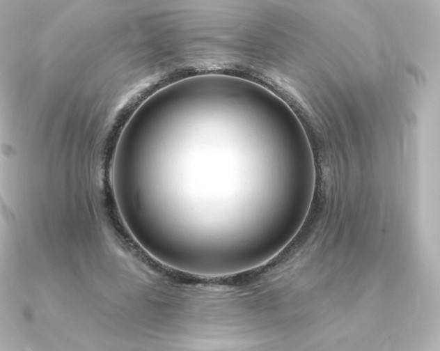 X0000090890539200708101404