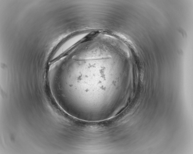 X0000090890540200708101404