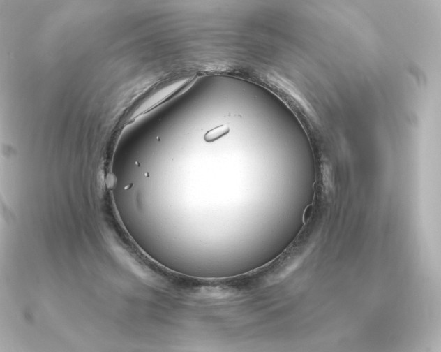 X0000090890541200708101404