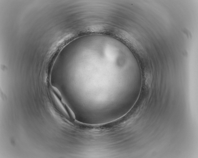 X0000090890542200708101404