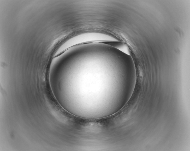 X0000090890543200708101404