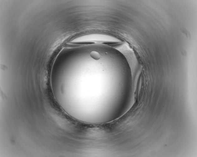 X0000090890544200708101404