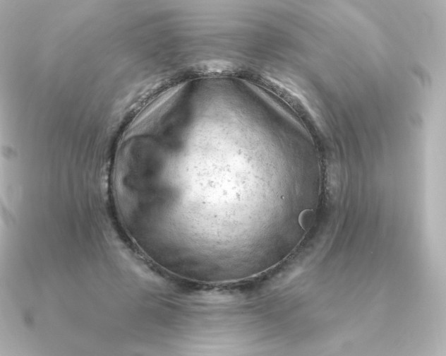 X0000090890545200708101404