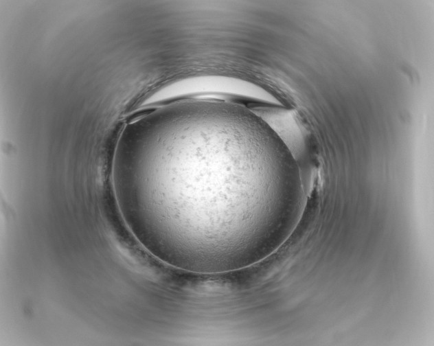 X0000090890546200708101404