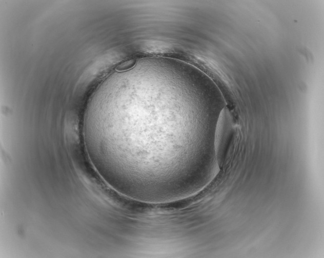 X0000090890547200708101404