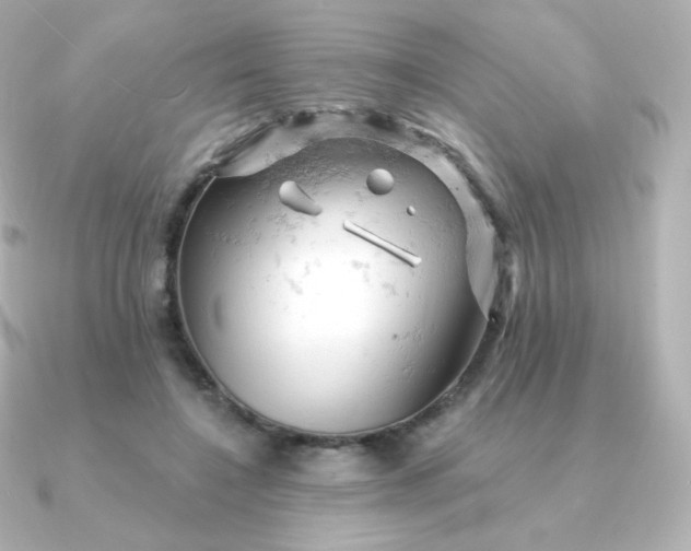 X0000090890548200708101404