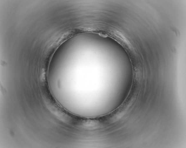 X0000090890549200708101404