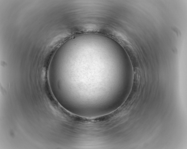 X0000090890550200708101404