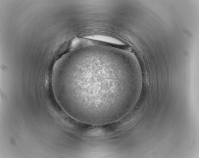 X0000090890551200708101404