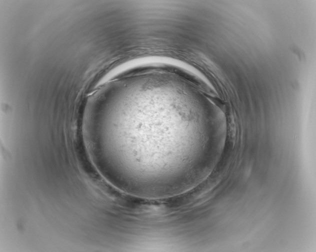 X0000090890552200708101404