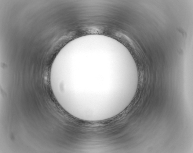 X0000090890553200708101404