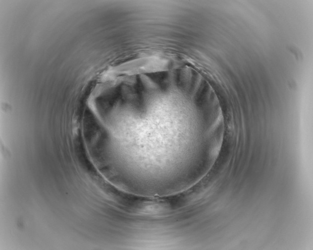 X0000090890555200708101404