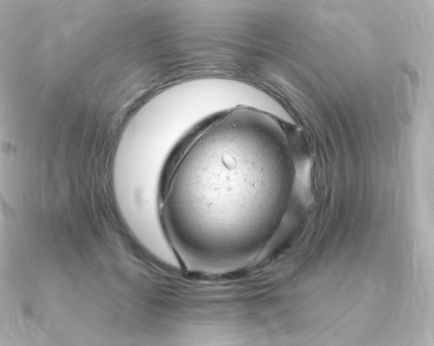 X0000090890556200708101404