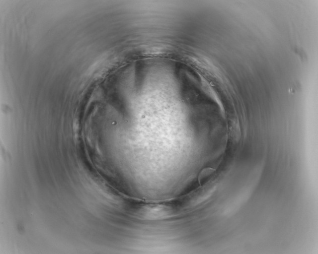 X0000090890557200708101404