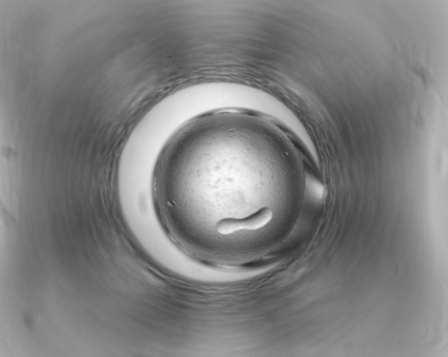 X0000090890558200708101404