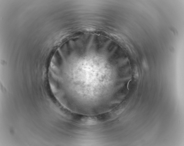 X0000090890559200708101404