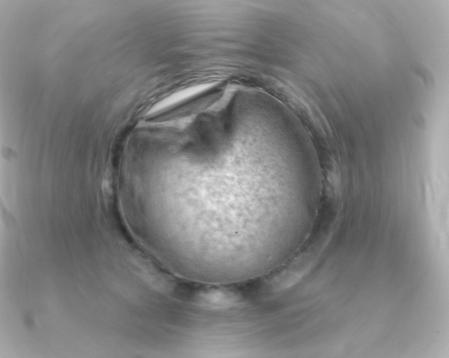 X0000090890561200708101404