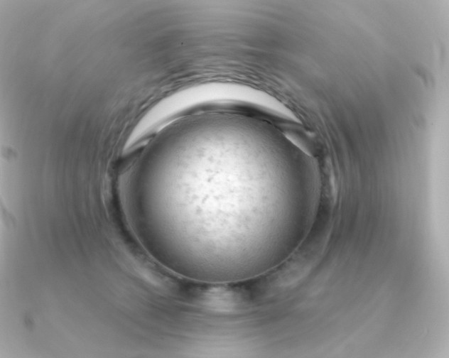 X0000090890562200708101404