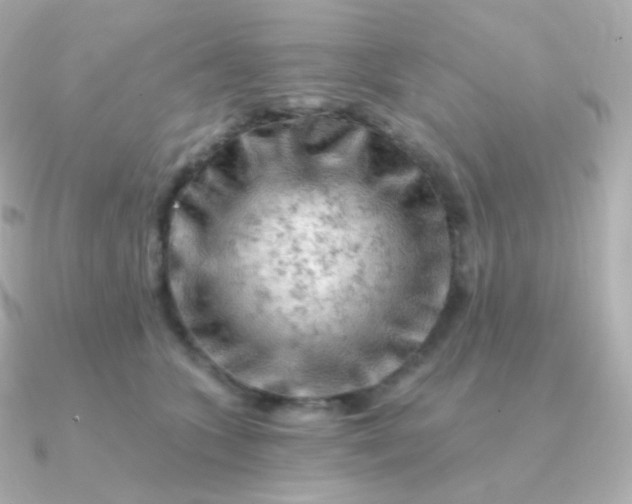 X0000090890563200708101404